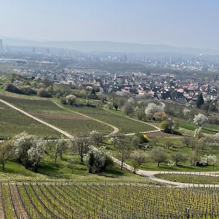 Landgasthof Rebstock Weil Am Rhein / Basel Exteriör bild