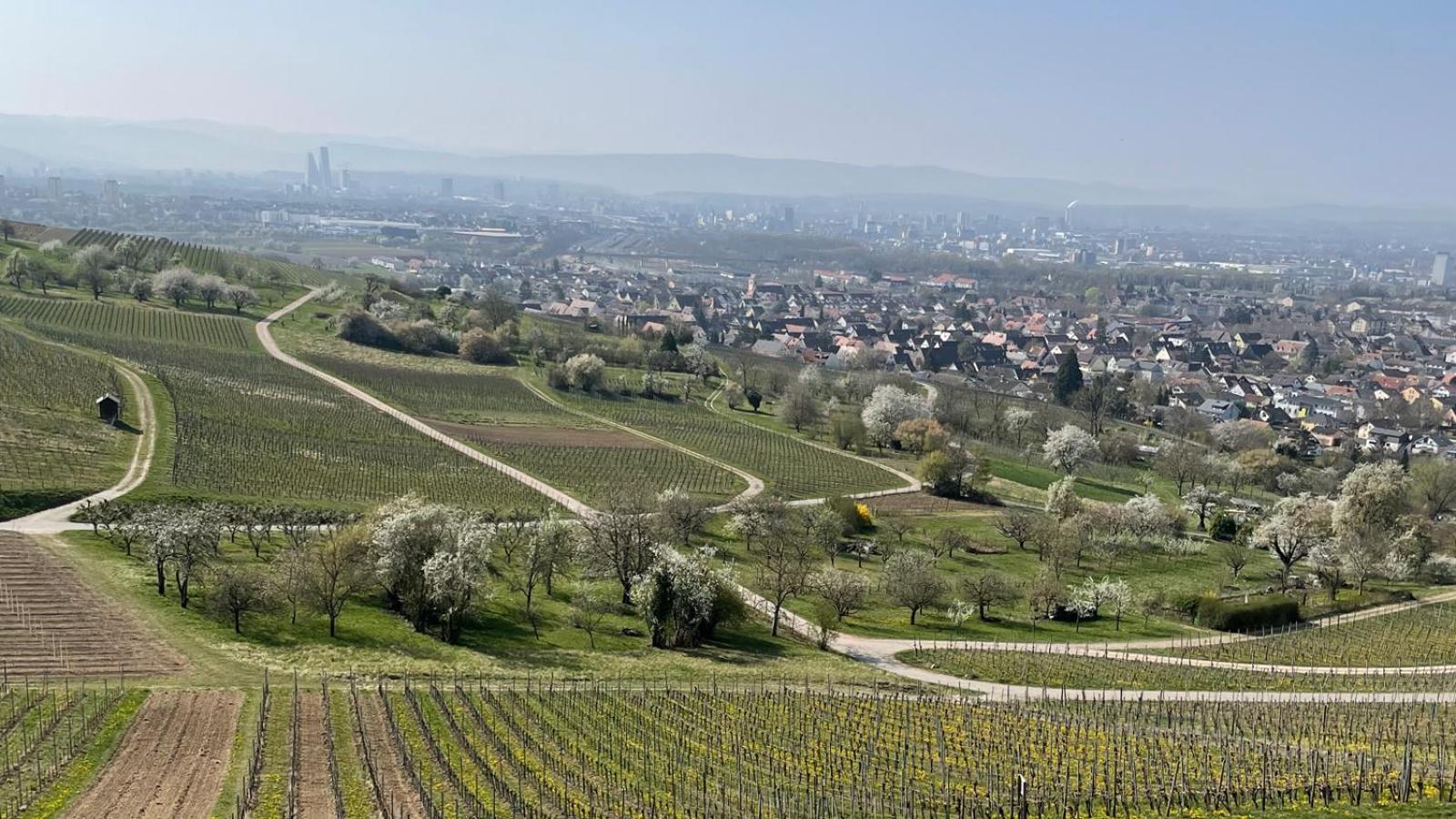 Landgasthof Rebstock Weil Am Rhein / Basel Exteriör bild