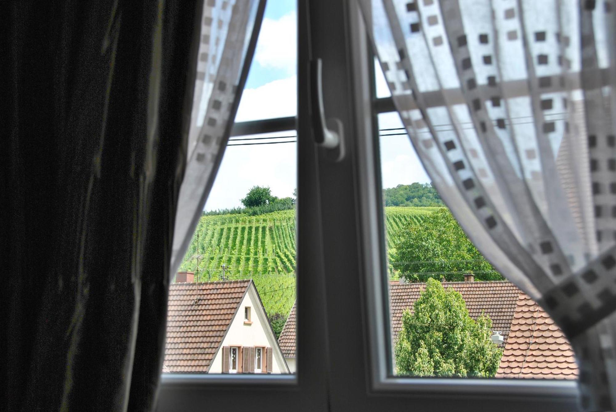 Landgasthof Rebstock Weil Am Rhein / Basel Exteriör bild